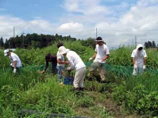 合鴨フェンスの撤去作業