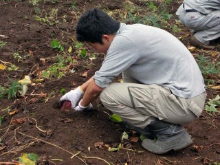 これも、大きいぞ！