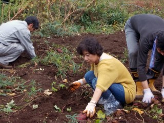 たくさん出てくるねぇ