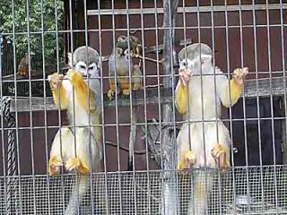 20150613_動物園