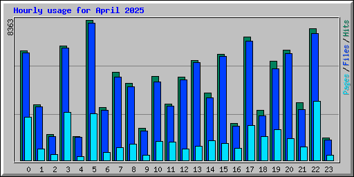 Hourly usage for April 2025