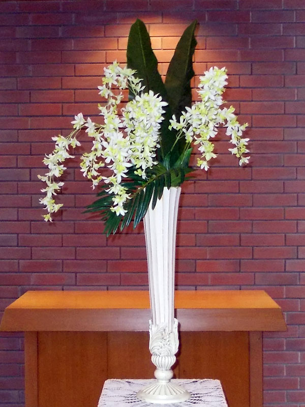 今日のお花
