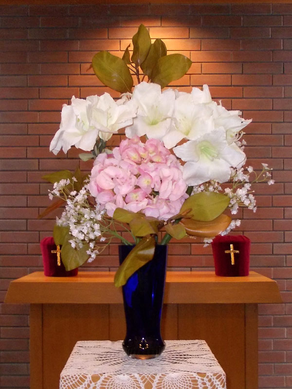 今日のお花