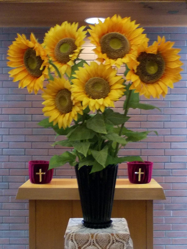 今日のお花