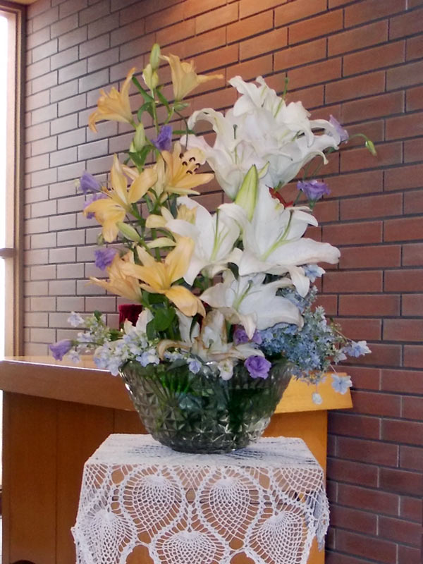 今日のお花
