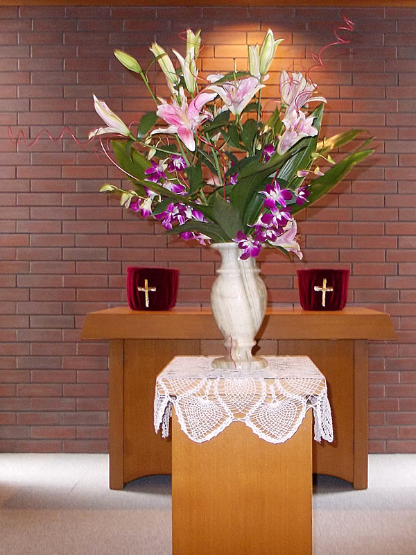 今日のお花