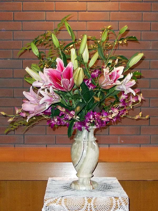 今日のお花