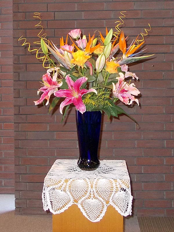 今日のお花