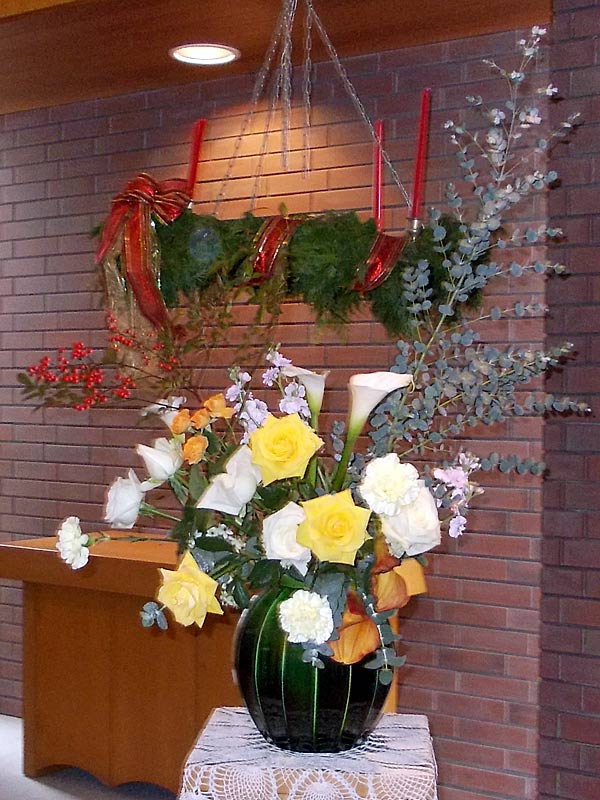 今日のお花