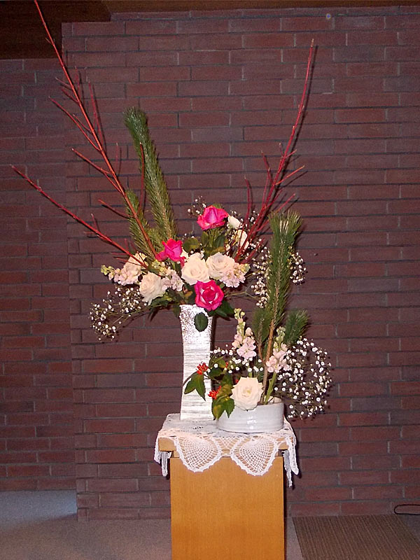 今日のお花